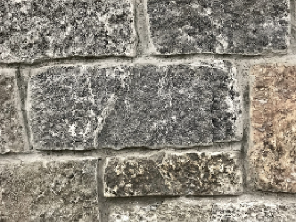 Burns Blend Product 600 x 450